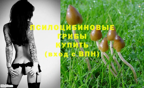 прущая мука Бронницы