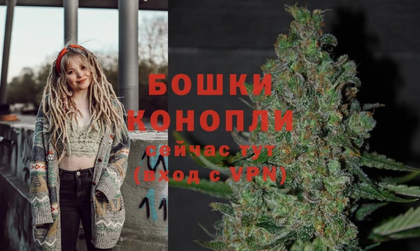 экстази Богданович