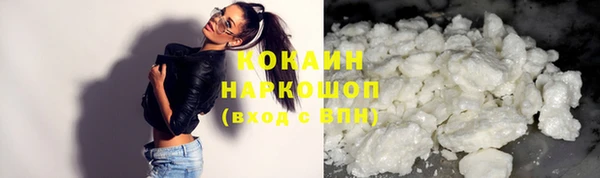 mix Богородицк