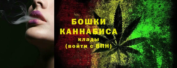 ECSTASY Бородино