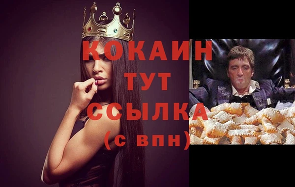 mix Богородицк