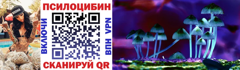 как найти наркотики Фёдоровский Галлюциногенные грибы Psilocybine cubensis